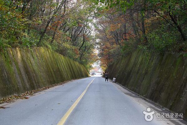 충북 단양여행 남한강 절벽 산책로 (사진출처=한국관광공사)