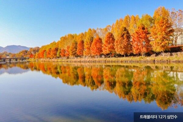 단양 관방제림 / 한국관광공사 제공