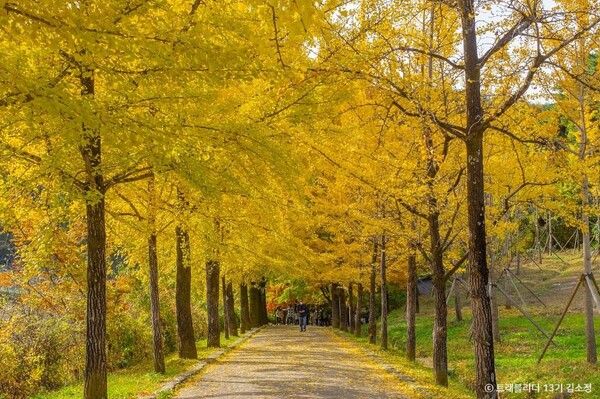 영주 부석사 / 한국관광공사 제공