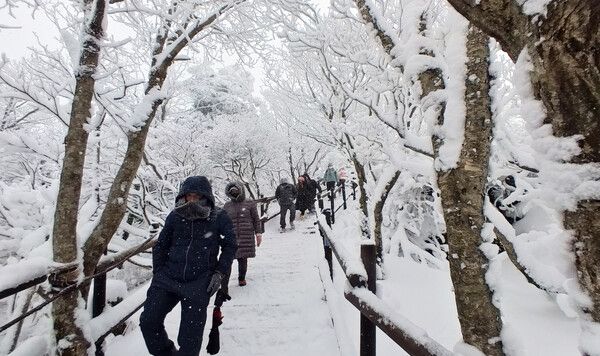 무주 덕유산 눈꽃세상 상고대 추위스케치 (사진출처=뉴스앤북DB)
