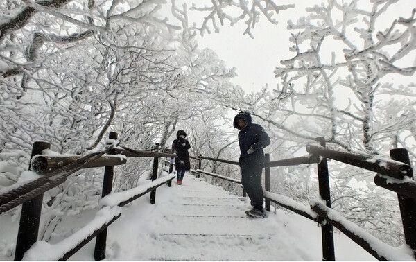 무주 덕유산 눈꽃세상 상고대 추위스케치 (사진출처=뉴스앤북DB)