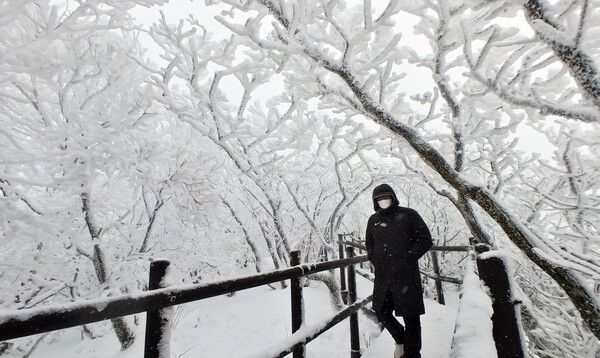 무주 덕유산 눈꽃세상 상고대 추위스케치 (사진출처=뉴스앤북DB)