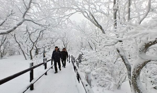 무주 덕유산 눈꽃세상 상고대 추위스케치 (사진출처=뉴스앤북DB)
