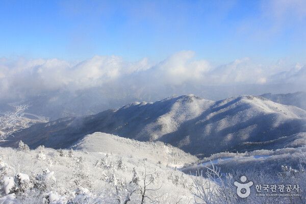 무주 덕유산 눈꽃세상 상고대 추위스케치 (사진출처=한국관광공사)