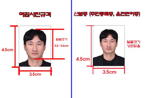 여권사진, 주민등록증사진, 운전면허증사진규격 비교