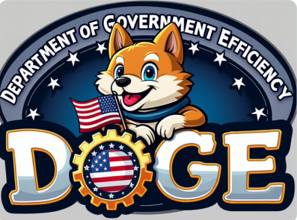 (출처=일론 머스크 테슬라 최고경영자(CEO) X 캡처)