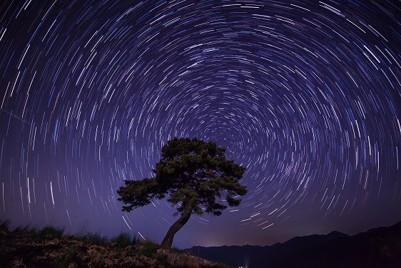 오늘의 운세와 애정운