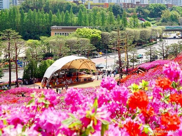 경기 군포 철쭉 축제