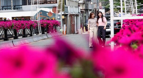 꽃다리 조성사업 완료된 모습 (사진=대전 동구 제공)