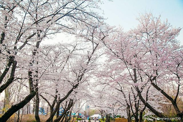 서울 어린이대공원