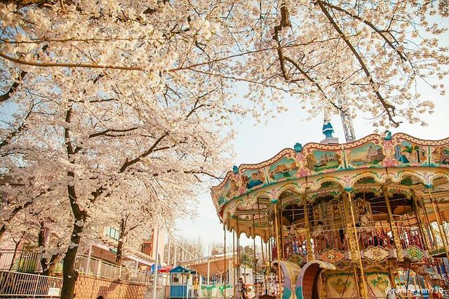 서울 어린이대공원