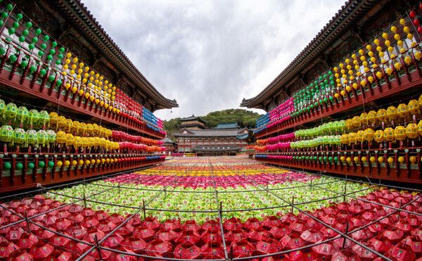 부산 삼광사 연등축제 (사진출처=한국관광공사)