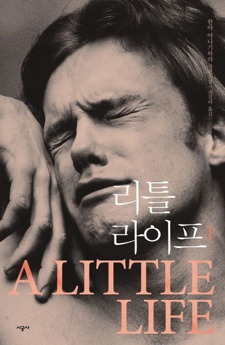 소설 '리틀 라이프' / 시공사 제공