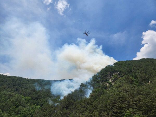 태백 산불 / 산림청 제공