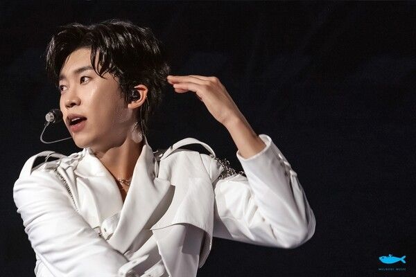 임영웅 / 물고기뮤직 제공