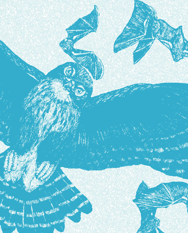 새의 시간 : 날아오르고 깨어나는 밤과 낮