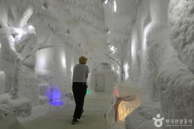 순천만국가정원(사진=한국관광공사 제공)