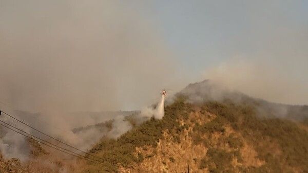 대구 군위 산불&nbsp; / 군위군 제공