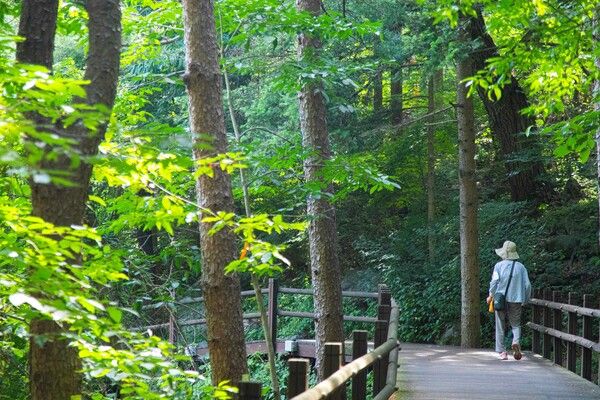 의왕 청계산맑은숲공원 / 경기관광공사 제공&nbsp;