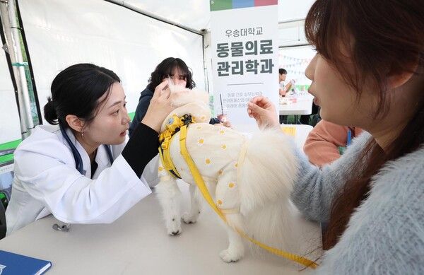 우송대학교 반려동물 놀이터에서 열린 ‘2025 펫비트 페스타’에서 주민들이 반려견과 함께 체험 프로그램을 즐기고 있다. (사진=대전 동구 제공)