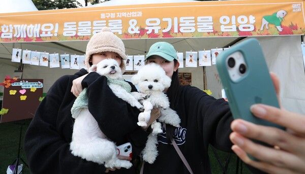 우송대학교 반려동물 놀이터에서 열린 ‘2025 펫비트 페스타’에서 주민들이 반려견과 함께 체험 프로그램을 즐기고 있다. (사진=대전 동구 제공)