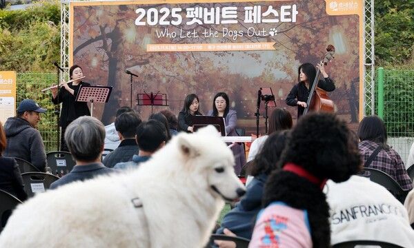 우송대학교 반려동물 놀이터에서 열린 ‘2025 펫비트 페스타’에서 주민들이 반려견과 함께 체험 프로그램을 즐기고 있다. (사진=대전 동구 제공)