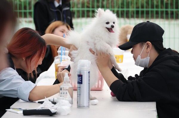 우송대학교 반려동물 놀이터에서 열린 ‘2025 펫비트 페스타’에서 주민들이 반려견과 함께 체험 프로그램을 즐기고 있다. (사진=대전 동구 제공)