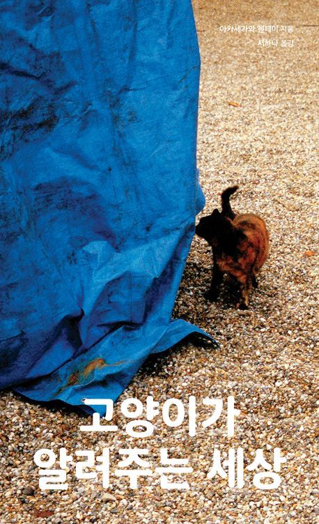 고양이가 알려주는 세상