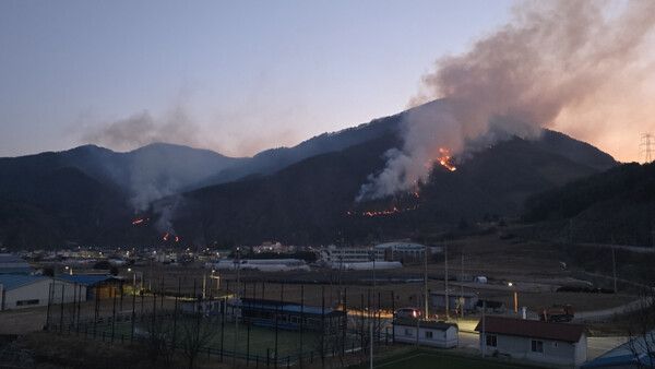 정선 산불 /&nbsp;사진=동부지방산림청 제공