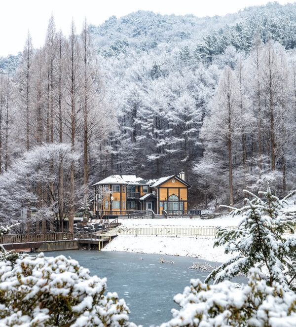 충남 논산 온빛자연휴양림 (사진=한국관광공사)