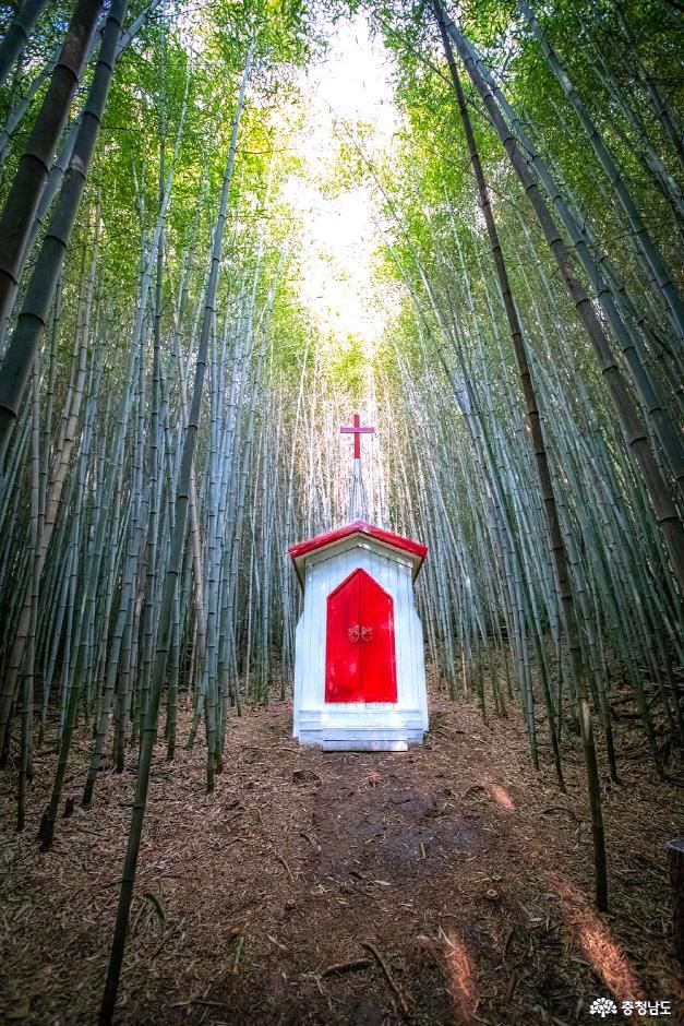 온빛자연휴양림