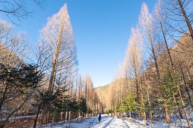 온빛자연휴양림