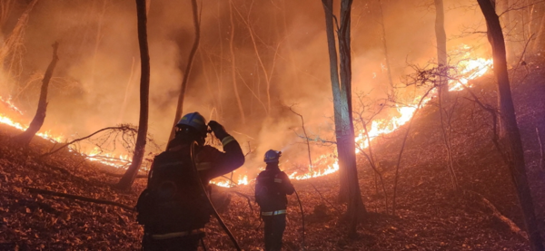 산불 자료사진 (사진출처=산림청)