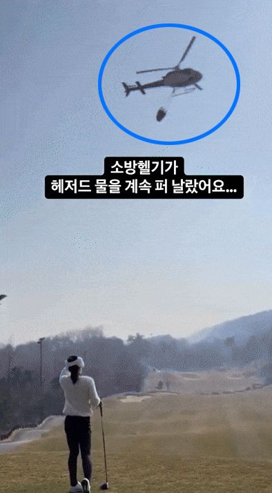 소방헬기 골프녀 (사진=온라인커뮤티니 보배드림)