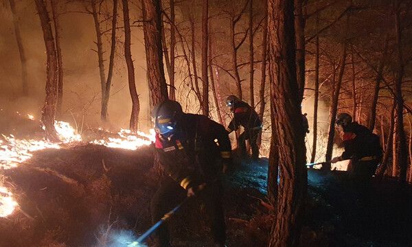 산청 산불 /&nbsp;산림청 제공