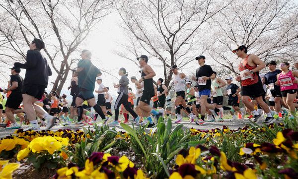 2025 대청호 벚꽃길 마라톤대회 인구늘리기 캠페인 (사진=동구 제공)