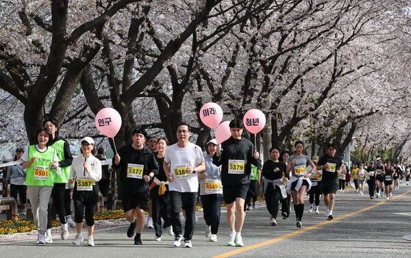 2025 대청호 벚꽃길 마라톤대회 인구늘리기 캠페인 (사진=동구 제공)