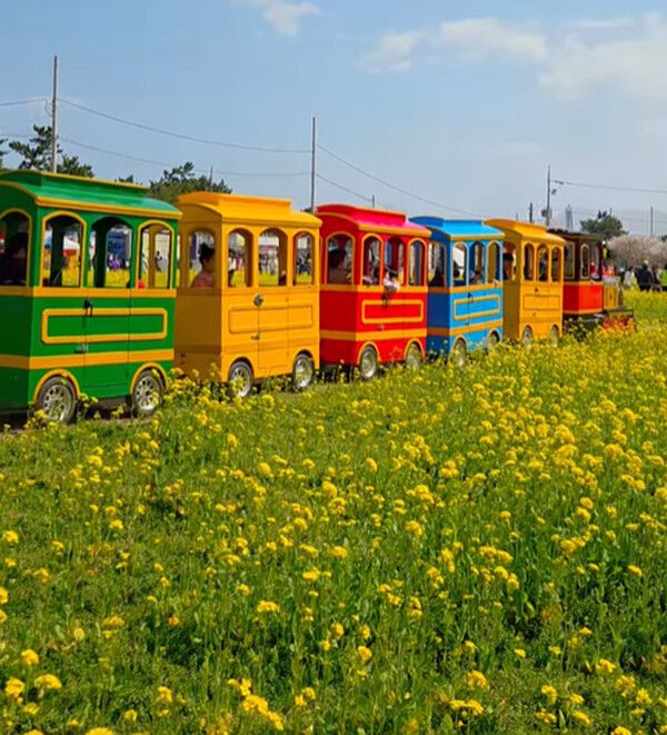 사진= 한국관광공사 SNS 다님9기 백지원 님 제공
