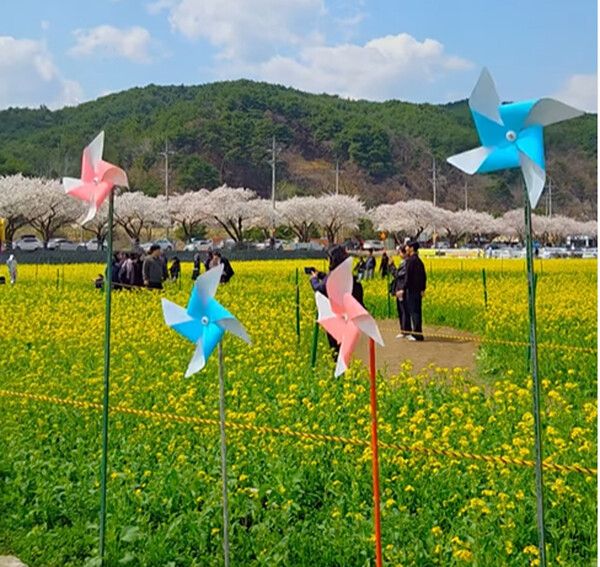 사진= 한국관광공사 SNS 다님9기 백지원 님 제공