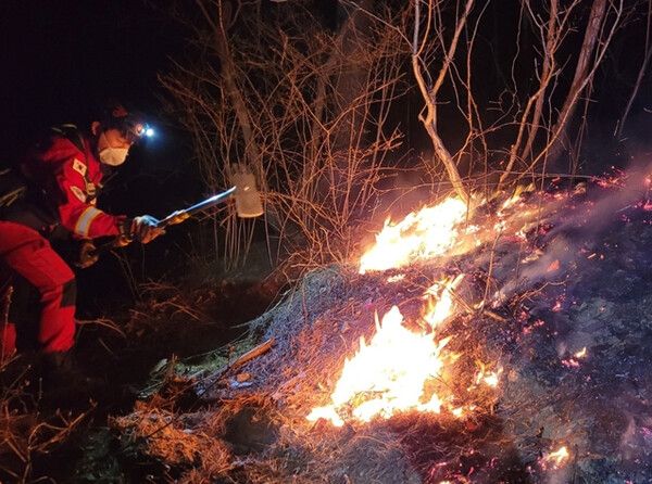 산불 자료사진 (사진=산림청)