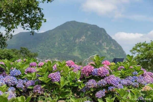 제주 마노르블랑 /관광공사 제공