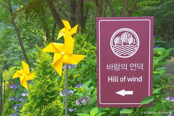 고성 그레이스 정원 /관광공사 제공