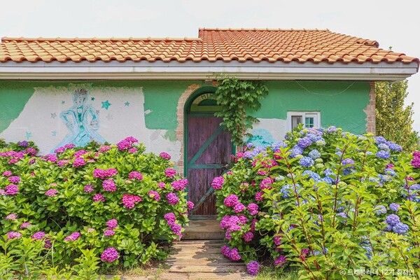 태안 팜카밀레 허브정원 /관광공사 제공