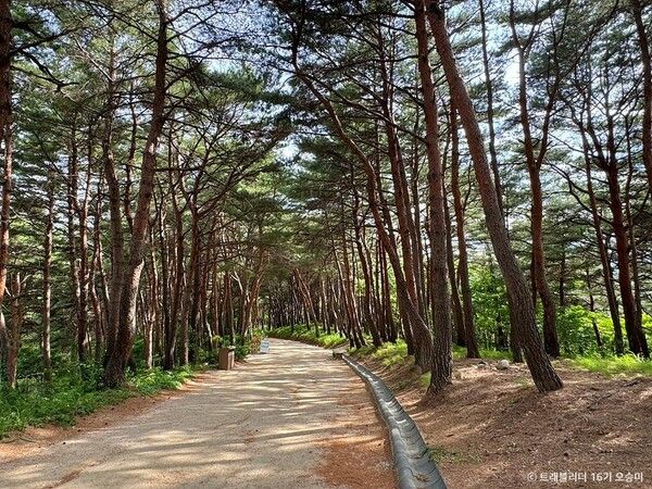 낙산사&nbsp; / 관광공사 제공