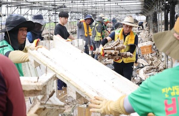 대전 동구 자원봉사자들이 예산군 수해복구 현장에서 봉사활동을 하고 있다 (사진=전우용 기자)