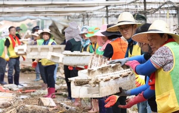 대전 동구 자원봉사자들이 예산군 수해복구 현장에서 봉사활동을 하고 있다 (사진=전우용 기자)