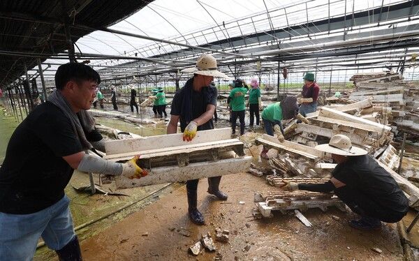 대전 동구 자원봉사자들이 예산군 수해복구 현장에서 봉사활동을 하고 있다 (사진=전우용 기자)