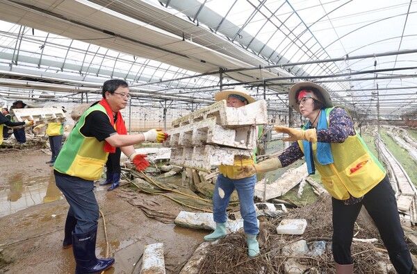 대전 동구 자원봉사자들이 예산군 수해복구 현장에서 봉사활동을 하고 있다 (사진=전우용 기자)