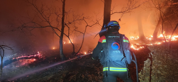 사진은 기사와 무관함. 산불 (사진=산림청 자료사진)