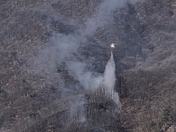 산불 / 강원소방본부 제공